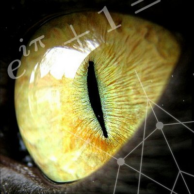 The truly mesmerizing appears when you learn to see in the darkness
🐞 🐞