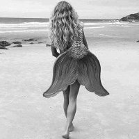 Serea 🐚 (@cantaresdeserea) 's Twitter Profile Photo Serea 🐚 (@cantaresdeserea) 's Twitter Profile Photo