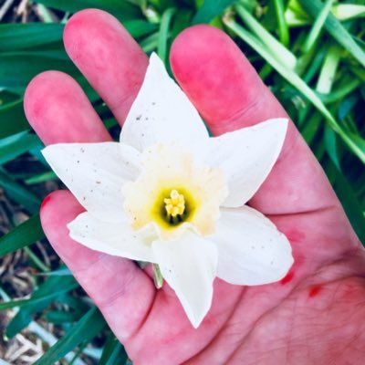 Theaviatorguy20's profile picture. 