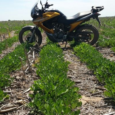 Ingeniero agrónomo.
Agricultor.
Malvinero.
AntiK. 
Solo quiero andar en moto. 
Si escribis agrotóxico o fumigar = block!!!
#NOALASRETENCIONES