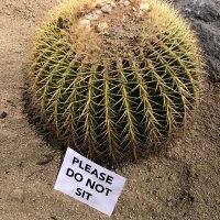 Social Change (@cahydephd) 's Twitter Profile