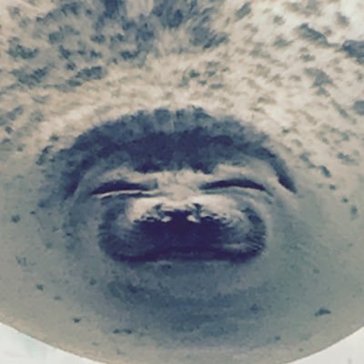 森永さんのプロフィール画像