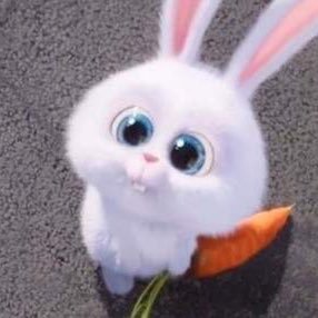 data_dataa's profile picture. 