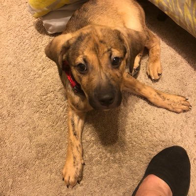 BotdAndrea's profile picture. Mindful