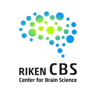 RIKEN Center for Brain Science(@RIKEN_CBS) 's Twitter Profileg