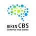 RIKEN Center for Brain Science (@RIKEN_CBS) Twitter profile photo