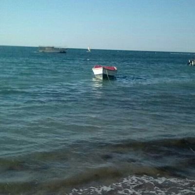 Eneidamenu's profile picture. 