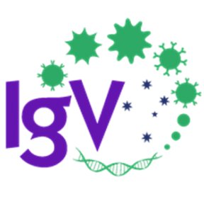 Immunology Group of Victoria (IgV) | Regional branch of Australia and New Zealand Society for Immunology (ASI) @ASImmunology | Tweets by @habeljen @Ali_Dvorscek