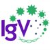 Immunology Group of Victoria (@ImmunoGroupVic) Twitter profile photo