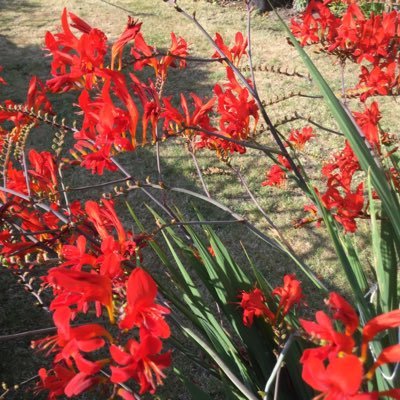 Cpcm66's profile picture. 