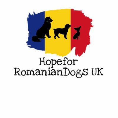 Together with our partner in Romania: Mirela Marcu, we strive to find loving homes in the UK for dogs who otherwise may never know real happiness.