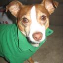 Sarah Bixler - @SarahBMTBC - Twitter