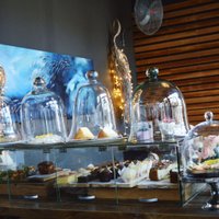 Doubleshot Plett (@dblshotplett) 's Twitter Profile