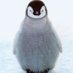 Ryan (@crazy_penguin3) Twitter profile photo Ryan (@crazy_penguin3) Twitter profile photo