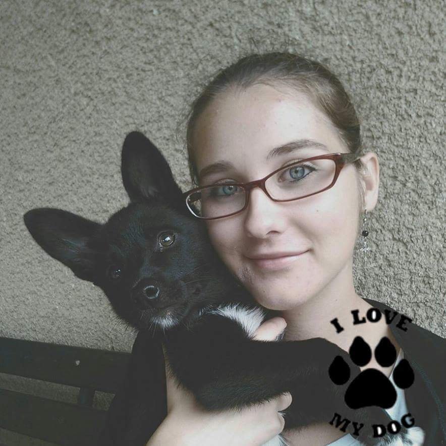 xenia_ozdinova's profile picture. I love dogs, animals, books, films, serials (fan of Pirates of the Carribean, Psych), art and music.