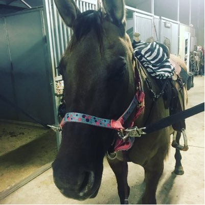 Hi my name is Rachel I am 26 Years old I have a disability/special needs called Autism and seizures I love to barrel race on my grulla quarter horse mare Topaz