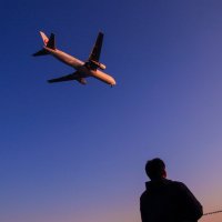 tamnao🔴⚫️ (@k9tamnao) Twitter profile photo