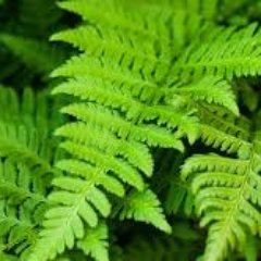 Gerigo974's profile picture. Artificier C4T2 N2
Passion #photo