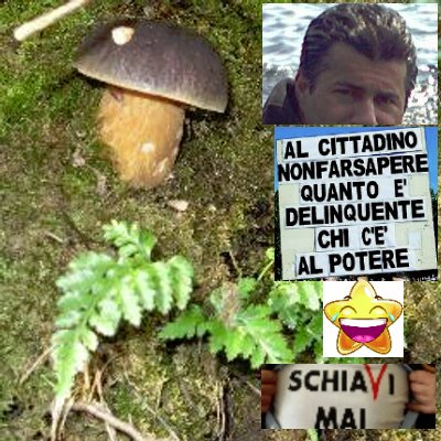 Idealista,naturalista,futurista,tanto incazz..da una #casta vecchia&immobile. Rivoluzione 5🌟non ci rinuncio✌#NonMollo, NoTroll🚯, No Fasci💩, No DM🌟W #Conte