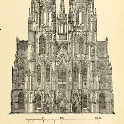 subterraneanbee's profile picture. admiring tweets/never tweets