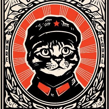 chairmnmeowfilm's profile picture. A comedy about Communism with cats.