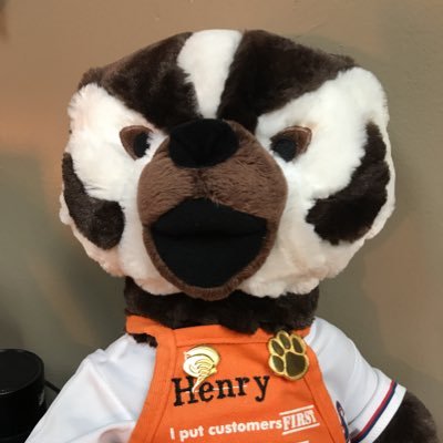 I am the official Mascot for D169 the Honey Badgers!! We are one team- excited to deliver results and grow our people! 🐾