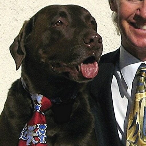 Gundogs's profile picture. Love Gundogs and Waterdogs and attend / video many
dog events. https://t.co/6HHYYU3aiS