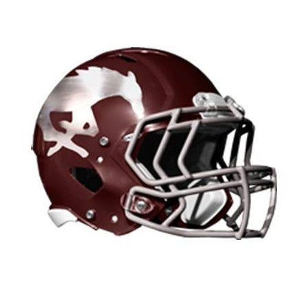 Official Twitter home for Salina Central Mustang Football. #WEareSC #PHAST #ALLINSC STATE CHAMPS 1993, 1996, 1999, 2001, 2002, & 2005