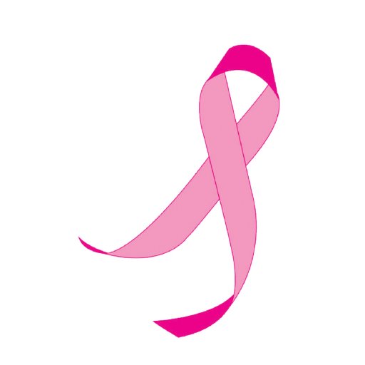 The mission of Breast Cancer Solutions is to provide breast cancer patients with direct assistance, community referrals and compassionate support.