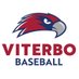 Viterbo Baseball (@VHawkBaseball) Twitter profile photo