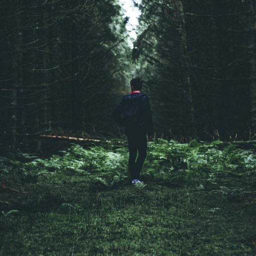 _RhysAnsen_'s profile picture. 