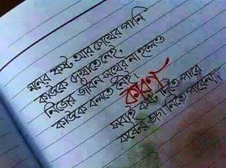 Almadan47278279's profile picture. 