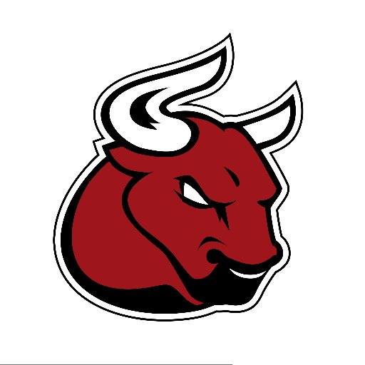 Este é o Twitter oficial do Bulls F.A.
Acompanhe por aqui todas as notícias dos Touros Vermelhos do Rio Grande do Sul! #GoBulls