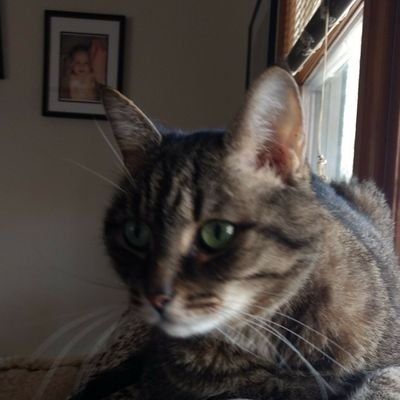 Christo58052192's profile picture. instagram: Christopher strain
Snapchat: Christopherls13
Facebook: Christopher strain
musicly: clstrain213
YouTube: Christopher strain