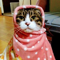 ぽんたろー S__7823369-scaled.jpg