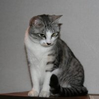 YASMAN MAEDA (@yasmanmaeda) 's Twitter Profile Photo YASMAN MAEDA (@yasmanmaeda) 's Twitter Profile Photo