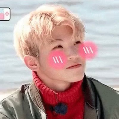 SEVENTEEN セブチジョンハンうちわBe the sun ソウルコン