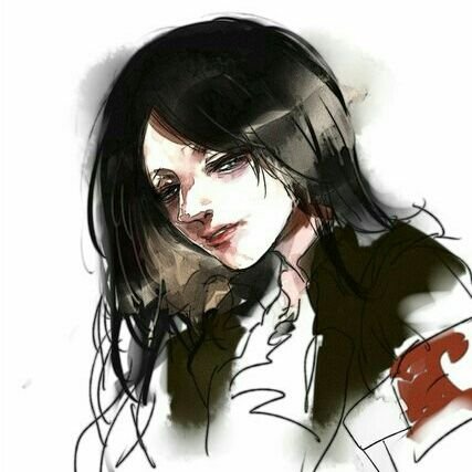 It's time to be human again, not until the devils attacked.
#aotrp #snk