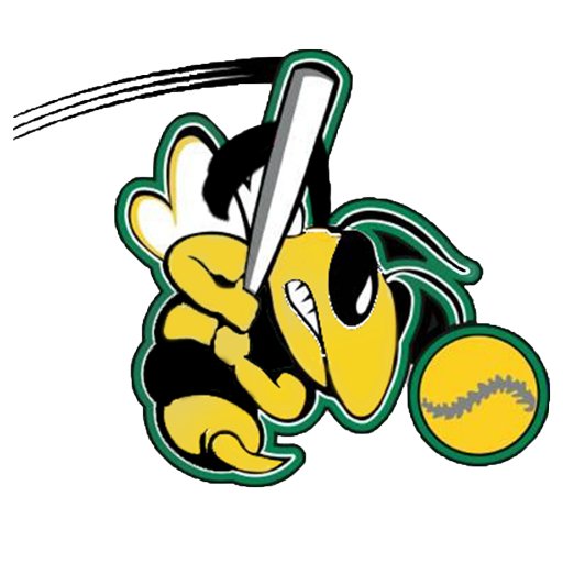 Official twitter account of the Emmaus High School girls softball team. 2023