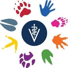 vetmed189's profile picture. For Human and animal health together