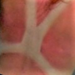 Pienso sin ayuda y existo, a alguno no le gustará pero tenemos los mismos derechos.