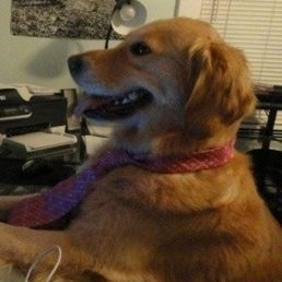 Want to be useful data scientist/ML engineer. Want to take data and make it valuable for people. Anonymous account to ask dumb questions and share my confusion.