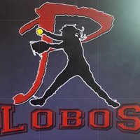Lobos Softball(@PHSLoboSoftball) 's Twitter Profile Photo