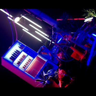 nokysd113's profile picture. 