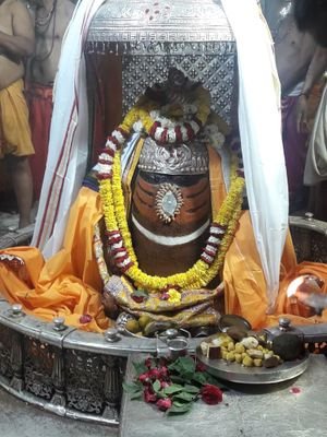 VijayJa53163071's profile picture. 