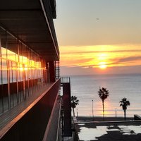 Bioinformatics GRIB (@grib_barcelona) 's Twitter Profile