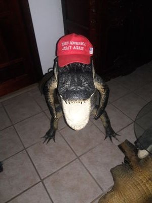 Everyone ask who I am. I'm a Patriot to my Country. Nothing else.
Retired Fl. State licensed solar contractor. I do not respond to DM's
MAGA/MAHA/DOGE