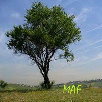 MAF Algete (@maf_algete) 's Twitter Profile Photo MAF Algete (@maf_algete) 's Twitter Profile Photo