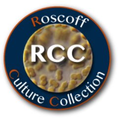 Roscoff Culture Collection Profile