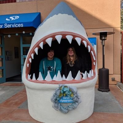 still discovering new ways for the SJ Sharks to disappoint me each year.
